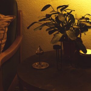 Lampa-fotobioreaktor z mikroalg w domu – światło, dekoracja i mikrooczyszczacz powietrza w jednym