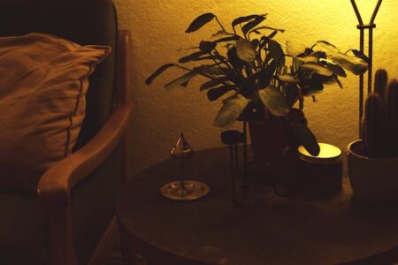 Lampa-fotobioreaktor z mikroalg w domu – światło, dekoracja i mikrooczyszczacz powietrza w jednym