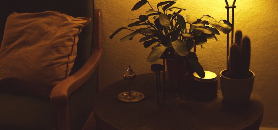 Lampa-fotobioreaktor z mikroalg w domu – światło, dekoracja i mikrooczyszczacz powietrza w jednym