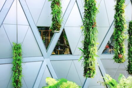 Dom, który sam reguluje klimat: meble z grzybni i panele PCM jako cichy system akustyczno-termiczny