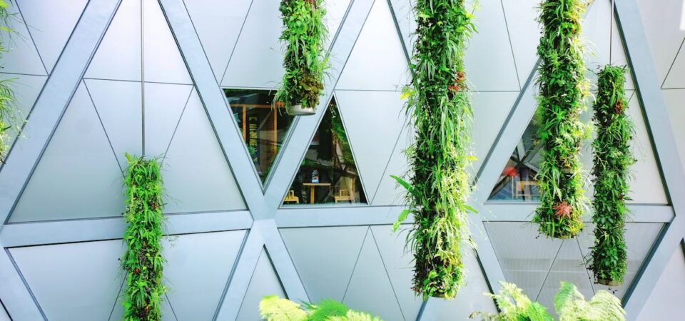 Dom, który sam reguluje klimat: meble z grzybni i panele PCM jako cichy system akustyczno-termiczny